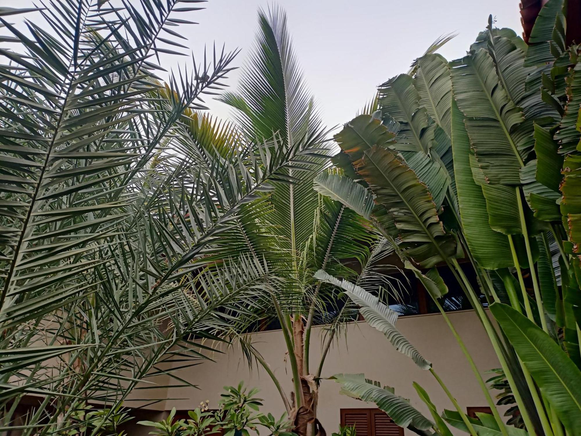 Casa Das Buganvilias Praia Exterior foto