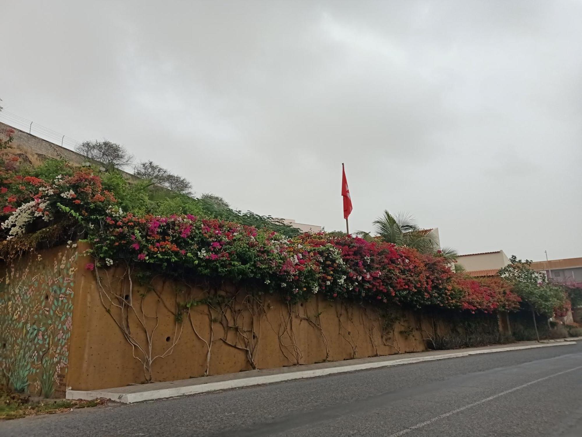 Casa Das Buganvilias Praia Exterior foto