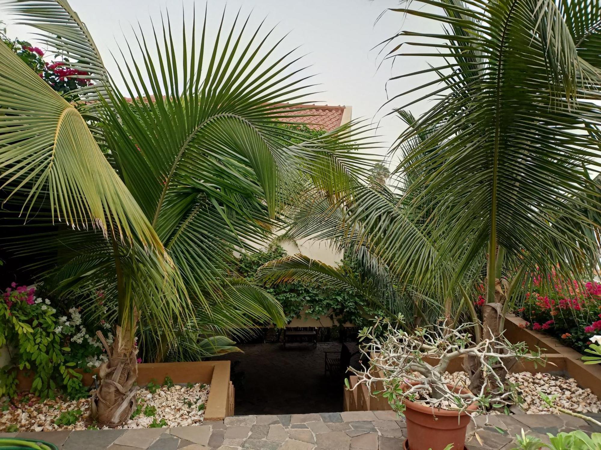 Casa Das Buganvilias Praia Exterior foto